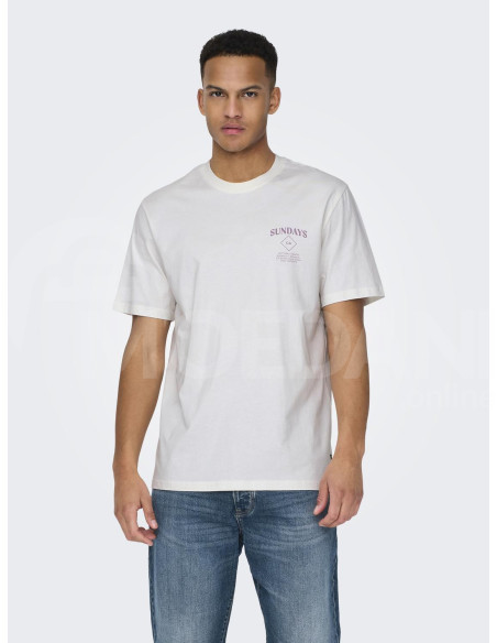 ONLY & SONS - ONSKYE REG PHOTO SS TEE თბილისი - photo 4