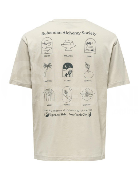 ONLY & SONS - ONSKASON RLX PRINT SS TEE Tbilisi - photo 7