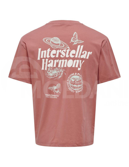 ONLY & SONS - ONSKASON RLX PRINT SS TEE Tbilisi - photo 6