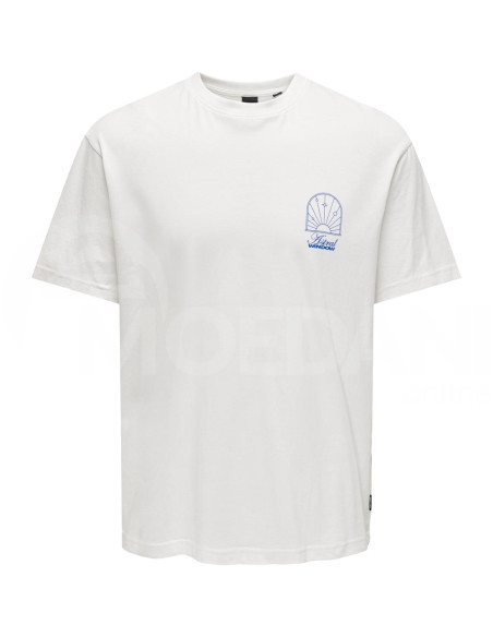 ONLY & SONS - ONSKASON RLX PRINT SS TEE Tbilisi - photo 6