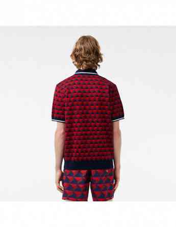 Lacoste - MEN'S PATTERNED POLO COLLAR SWEATER თბილისი