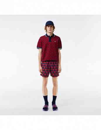 Lacoste - MEN'S PATTERNED POLO COLLAR SWEATER თბილისი