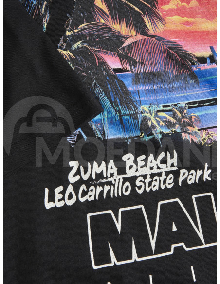 Jack & Jones - JORARUBA GRADIENT BACK TEE SS CREW NECK Tbilisi - photo 7