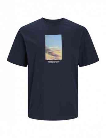 Jack & Jones - JORVESTERBRO PICTURE TEE SS CREW NECK LN Tbilisi