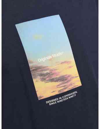 Jack & Jones - JORVESTERBRO PICTURE TEE SS CREW NECK LN Tbilisi