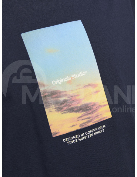 Jack & Jones - JORVESTERBRO PICTURE TEE SS CREW NECK LN Tbilisi - photo 6