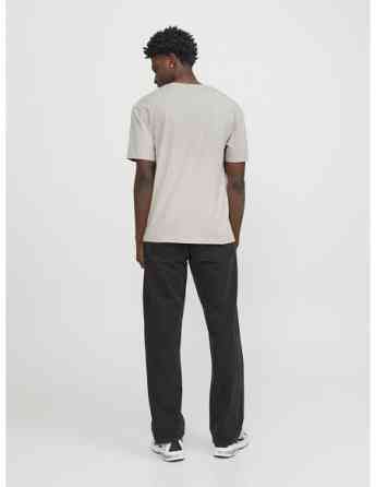 Jack & Jones - JORVESTERBRO PICTURE TEE SS CREW NECK LN Tbilisi
