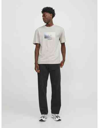 Jack & Jones - JORVESTERBRO PICTURE TEE SS CREW NECK LN Tbilisi