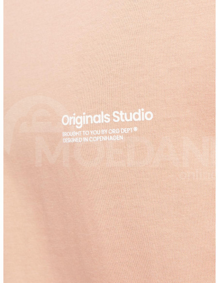 Jack & Jones - JORVESTERBRO BACK TEE SS CREW NECK SN Tbilisi - photo 5