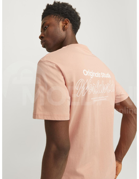 Jack & Jones - JORVESTERBRO BACK TEE SS CREW NECK SN Tbilisi - photo 3