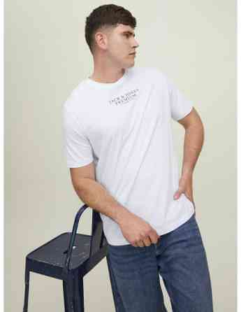 Jack & Jones - JPRBLUARCHIE SS TEE CREW NECK PLS Tbilisi