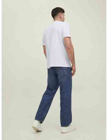 Jack & Jones - JPRBLUARCHIE SS TEE CREW NECK PLS Tbilisi