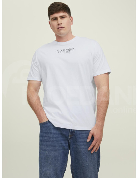 Jack & Jones - JPRBLUARCHIE SS TEE CREW NECK PLS Tbilisi - photo 1