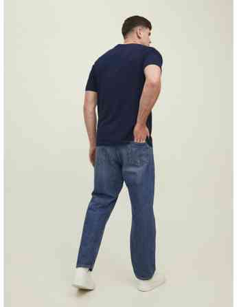 Jack & Jones - JPRBLUARCHIE SS TEE CREW NECK PLS Tbilisi