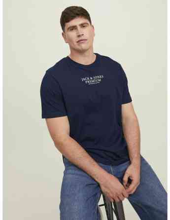 Jack & Jones - JPRBLUARCHIE SS TEE CREW NECK PLS Tbilisi