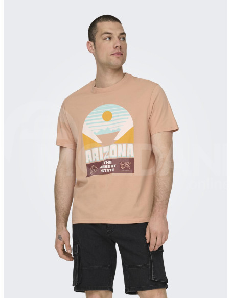 ONLY & SONS - ONSMACALLAN LIFE REG DESERT SS TEE თბილისი - photo 1