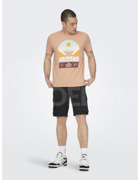 ONLY & SONS - ONSMACALLAN LIFE REG DESERT SS TEE თბილისი - photo 5