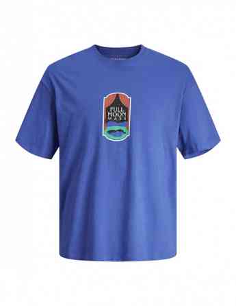 Jack & Jones - JORDELIRIUM TEE SS CREW NECK TG LN Tbilisi