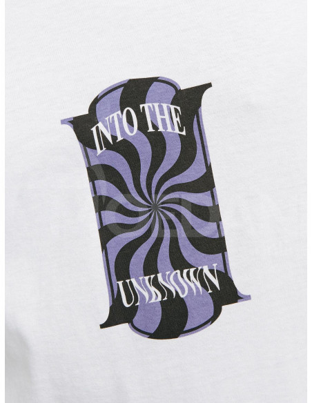 Jack & Jones - JORDELIRIUM TEE SS CREW NECK TG LN Tbilisi - photo 5
