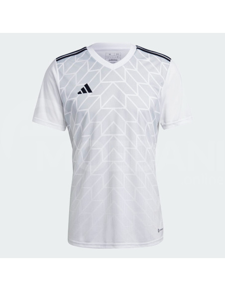 Adidas - T ICON23 JSY Tbilisi - photo 5