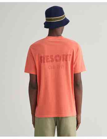 Gant - SUNFADED GRAPHIC SS T-SHIRT Tbilisi