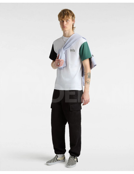 VANS - COLORBLOCK VARSITY SS TEE თბილისი - photo 3