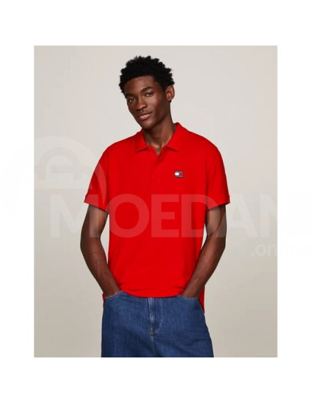 Tommy Jeans - TJM REG BADGE POLO თბილისი - photo 1