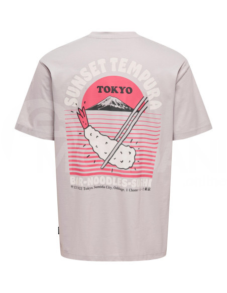 ONLY & SONS - ONSKYSON RLX FOOD SS TEE თბილისი - photo 2