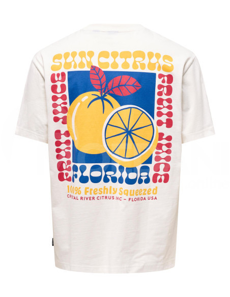 ONLY & SONS - ONSKYSON RLX FOOD SS TEE Tbilisi - photo 2