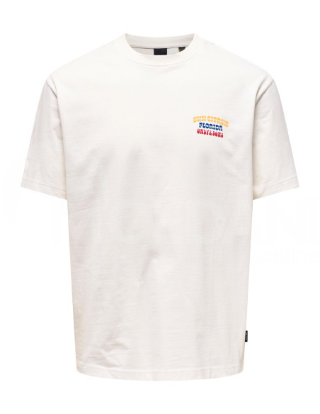 ONLY & SONS - ONSKYSON RLX FOOD SS TEE Tbilisi - photo 1