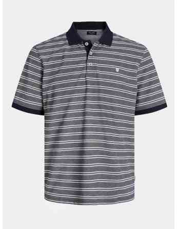 Jack & Jones - JPRBLUWIN POLO SS STRIPE Tbilisi