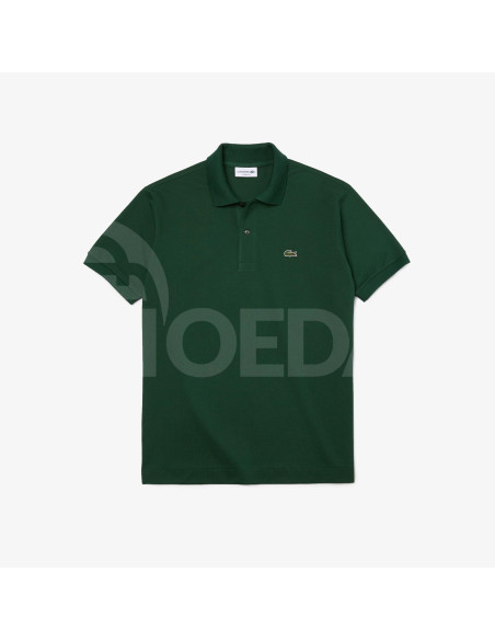 Lacoste Tbilisi - photo 5