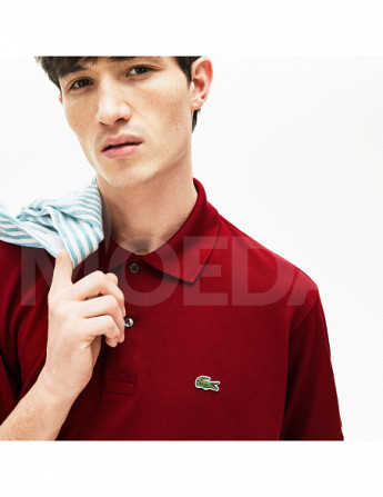 Lacoste თბილისი - photo 2