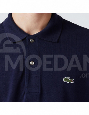 Lacoste Tbilisi - photo 4