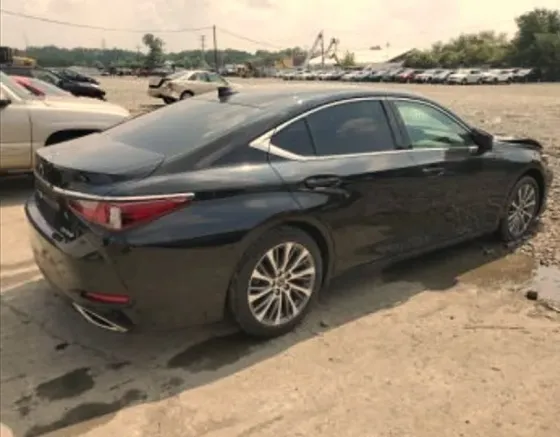 Lexus ES 2019 თბილისი