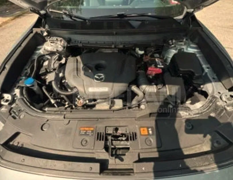 Mazda CX-9 2.5L 2018 თბილისი - photo 7