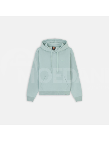 Dickies - CLANCY HOODIE W BLUE SURF თბილისი - photo 5
