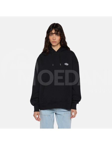 Dickies - SUMMERDALE HOODIE BLACK Tbilisi - photo 1