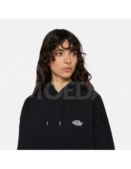 Dickies - SUMMERDALE HOODIE BLACK Tbilisi - photo 4