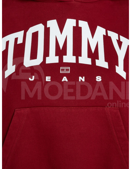 Tommy Jeans - TJW VTG VARSITY 1 HOODIE თბილისი - photo 6