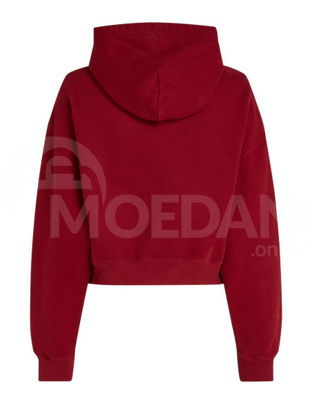 Tommy Jeans - TJW VTG VARSITY 1 HOODIE თბილისი - photo 4