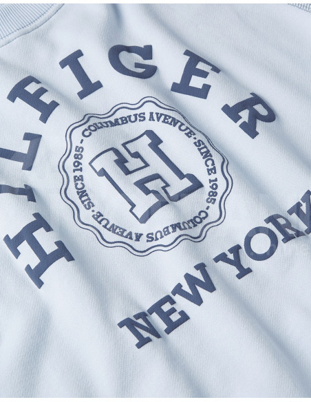 Tommy Hilfiger - REG VARSITY RAGLAN SWEATSHIRT თბილისი - photo 5
