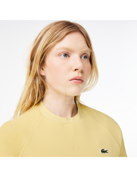 Lacoste - CORE COLLECTION Tbilisi - photo 6
