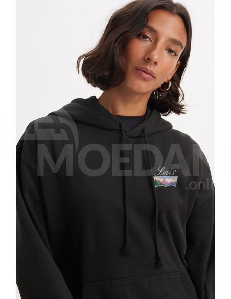 Levis® - Graphic Salinas Hoodie თბილისი - photo 3
