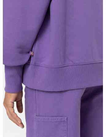 Dickies - GARDEN PLAINS SWEATSHIRT W IMPERIAL PALACE Tbilisi