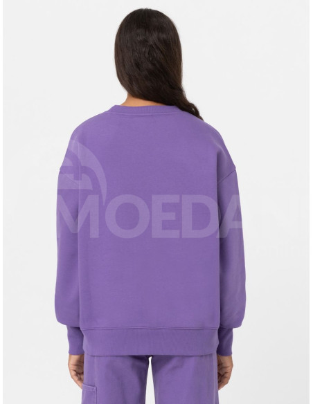 Dickies - GARDEN PLAINS SWEATSHIRT W IMPERIAL PALACE Тбилиси - изображение 2