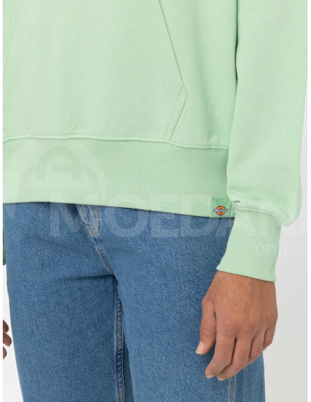 Dickies - MAYETTA HOODIE W QUIET GREEN თბილისი - photo 5