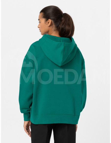 Dickies - SUMMERDALE HOODIE AVENTURINE Tbilisi - photo 1