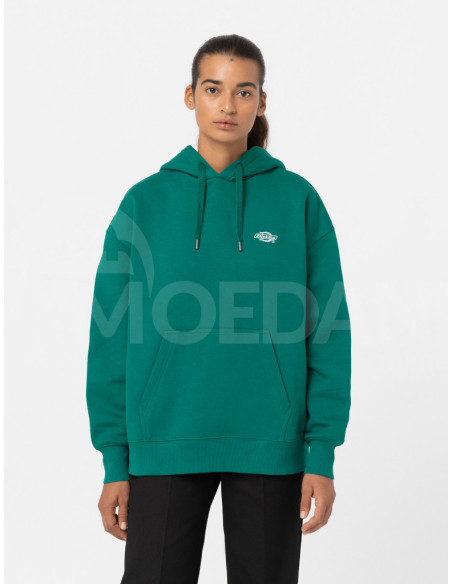 Dickies - SUMMERDALE HOODIE AVENTURINE Tbilisi - photo 2