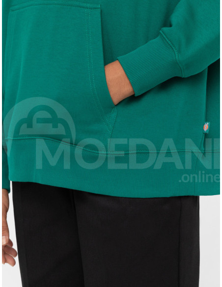 Dickies - SUMMERDALE HOODIE AVENTURINE Tbilisi - photo 6